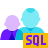 SQL数据库管理员组 icon