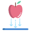 Apple icon