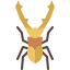 Stag Beetle icon