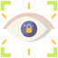 Eye Recognition icon