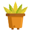 Aloe Vera icon