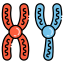 Chromosome String icon