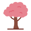 Sakura Tree icon