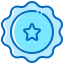 Award icon