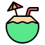 Coconut Drink icon