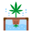 Hydroponic icon