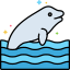 Beluga icon