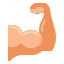 Muscles icon