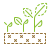 Growing Plant icon