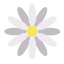 Daisy icon