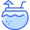 Coconut Drink icon