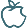 Apple icon