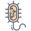 Prokaryote icon