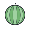 Whole Watermelon icon