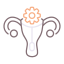 Reproductive System icon