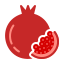 Pomegranate icon