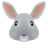 Rabbit Face icon