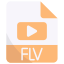 FLV icon