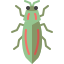 Beetle icon