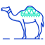 Camel icon