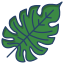 Palm Leaf icon