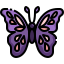 Butterfly icon