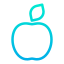 Apple icon