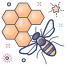 Honey Bee icon