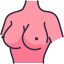 Breast Implant icon