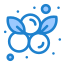 Blueberry icon