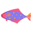 Hailbut Fish icon