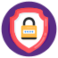 Security icon