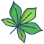 Horse Chestnut Leaf icon