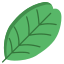 Carob Tree Leaf icon