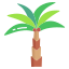 Date Palm icon