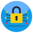 Encryption icon