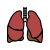 Lung icon