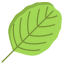 Alder Leaf icon