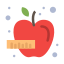 Apple icon