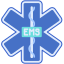 Emergency icon