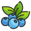 Berries icon