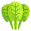 Spinach icon