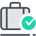 Checked Baggage icon