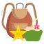 Backpack icon