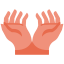 Hands icon