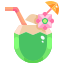 Coconut Water icon