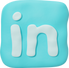 LinkedIn icon