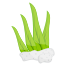 Algae icon