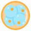 Embryo icon