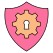 Security Setting icon